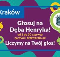 Tramwajem Nr 8 z Bronowic na sobotni event pod dębem Henrykiem w Borku Fałęckim